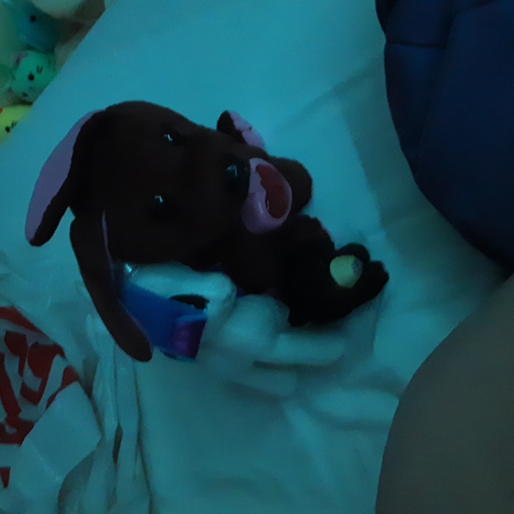 Stuffed animals